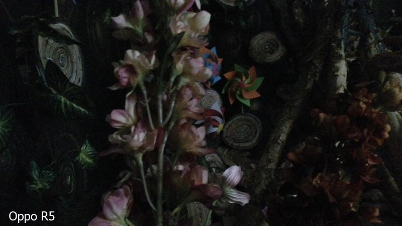 Camera Oppo R5