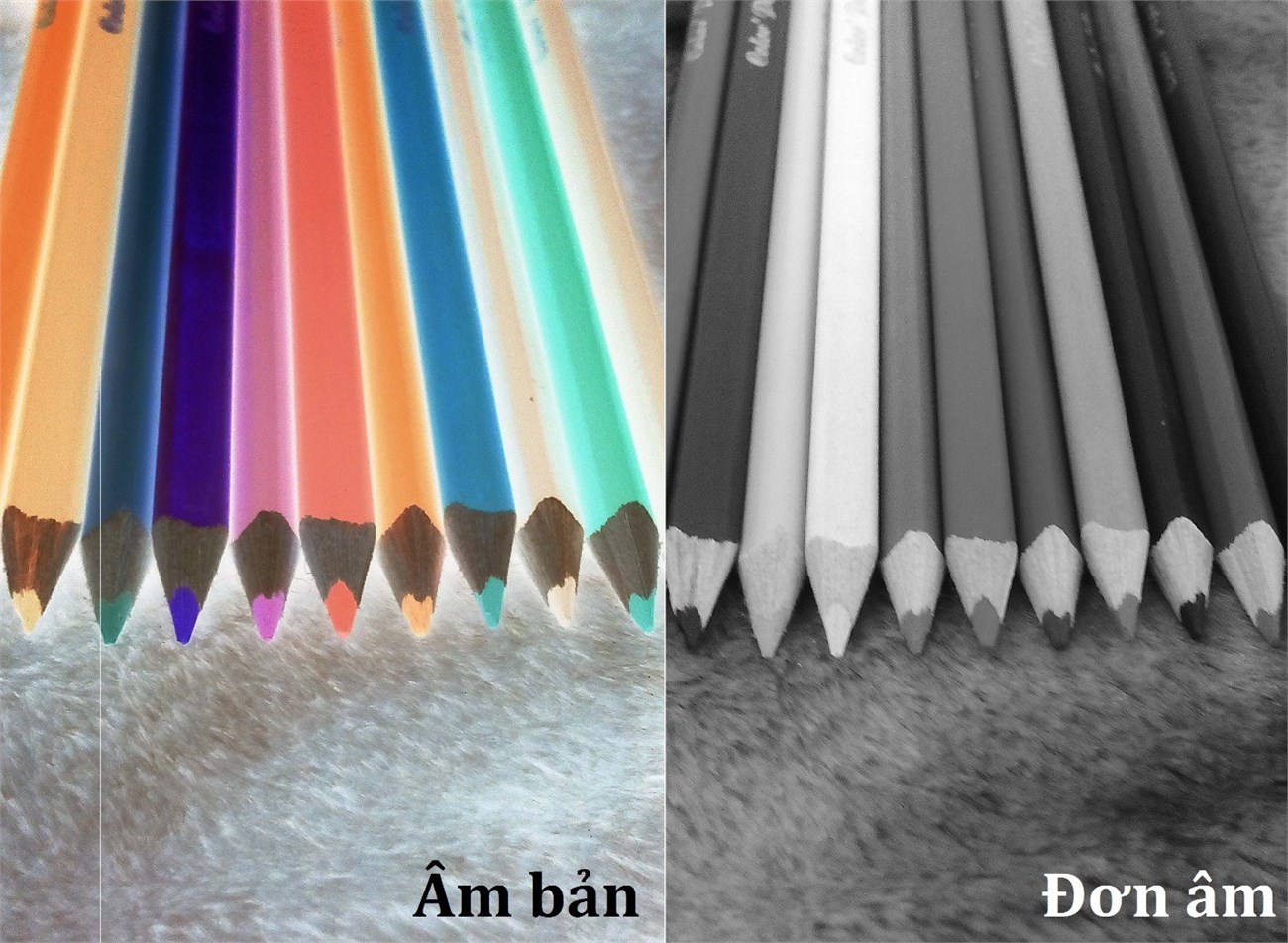 Hai chế độ màu khác nhau Hai chế độ màu khác nhau