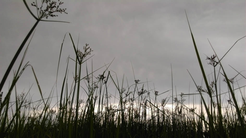 camera-htc-one-e8-tgdd-46