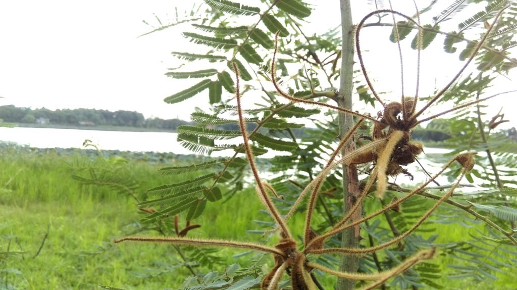 camera-htc-one-e8-tgdd-59