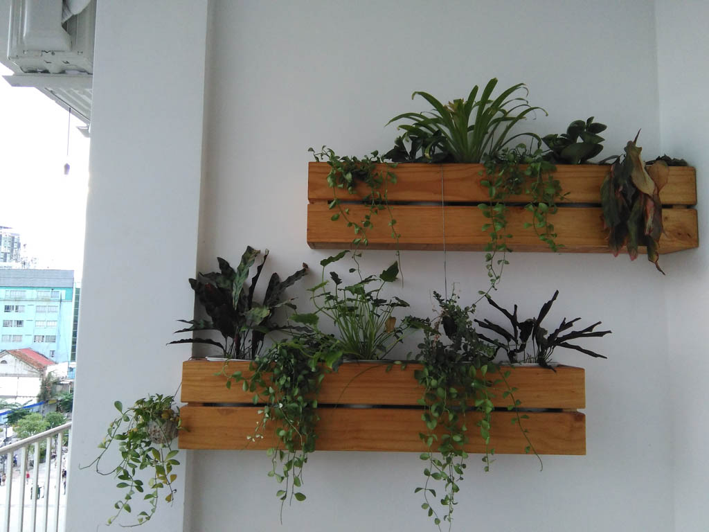 camera-wiko-highway-pure-tgdd-12 camera-wiko-highway-pure-tgdd-12