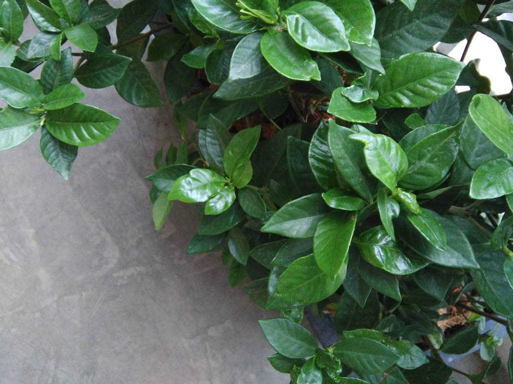 camera-wiko-highway-pure-tgdd-19 camera-wiko-highway-pure-tgdd-19