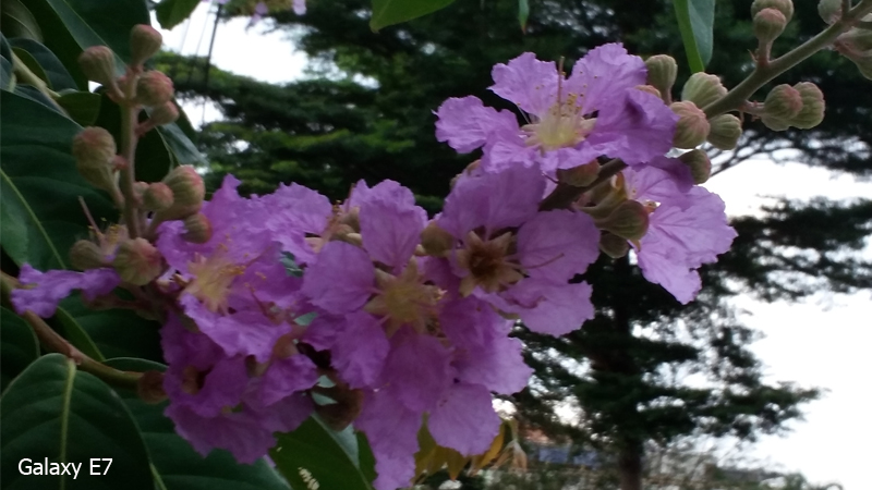 camera galaxy e7 camera galaxy e7