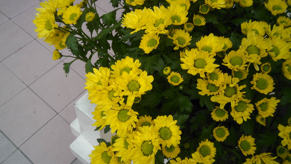 camera-bphone-tgdd-49