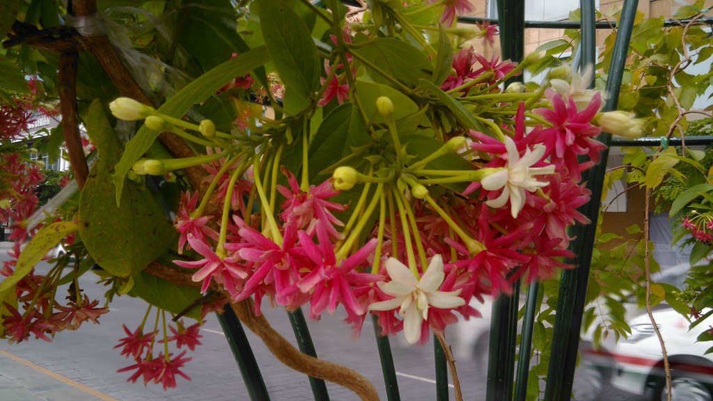 camera-bphone-tgdd-59