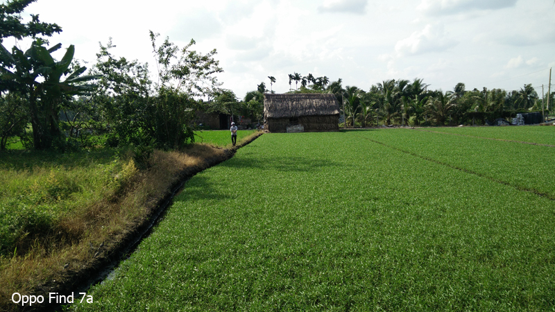 hình chụp camera find 7a trời nhiều nắng