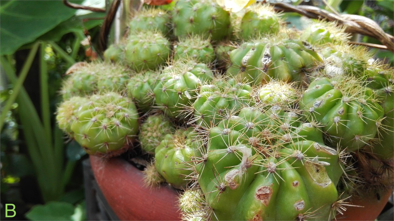 Bài 1: Điều kiện ánh sáng tốt (Thiết lập Auto hoàn toàn) 2 Bài 1: Điều kiện ánh sáng tốt (Thiết lập Auto hoàn toàn) 2