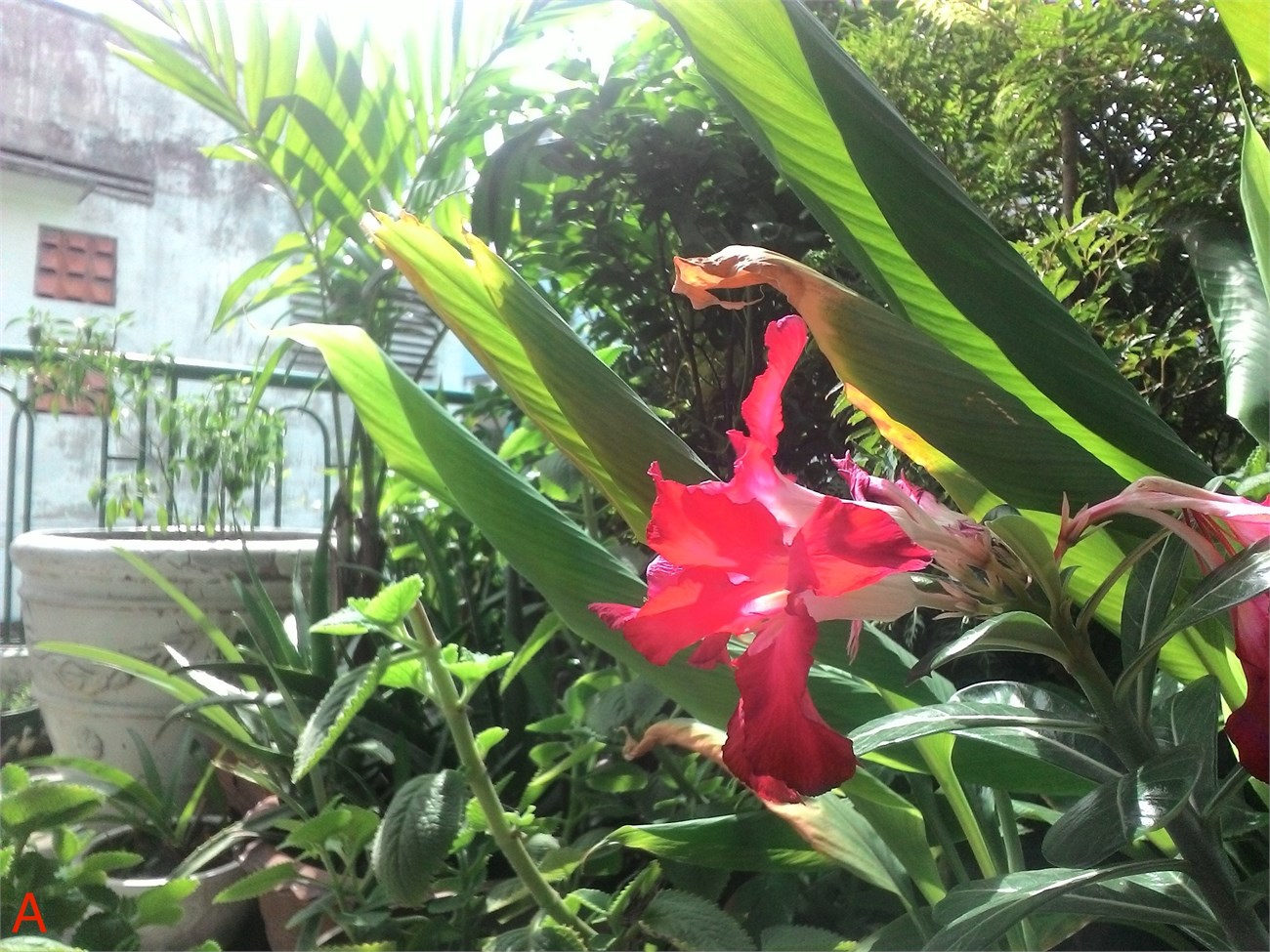 Bài 1: Điều kiện ánh sáng tốt (Thiết lập Auto hoàn toàn) 3 Bài 1: Điều kiện ánh sáng tốt (Thiết lập Auto hoàn toàn) 3