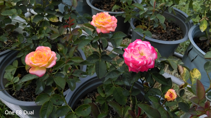 camera htc one e8 dual camera htc one e8 dual