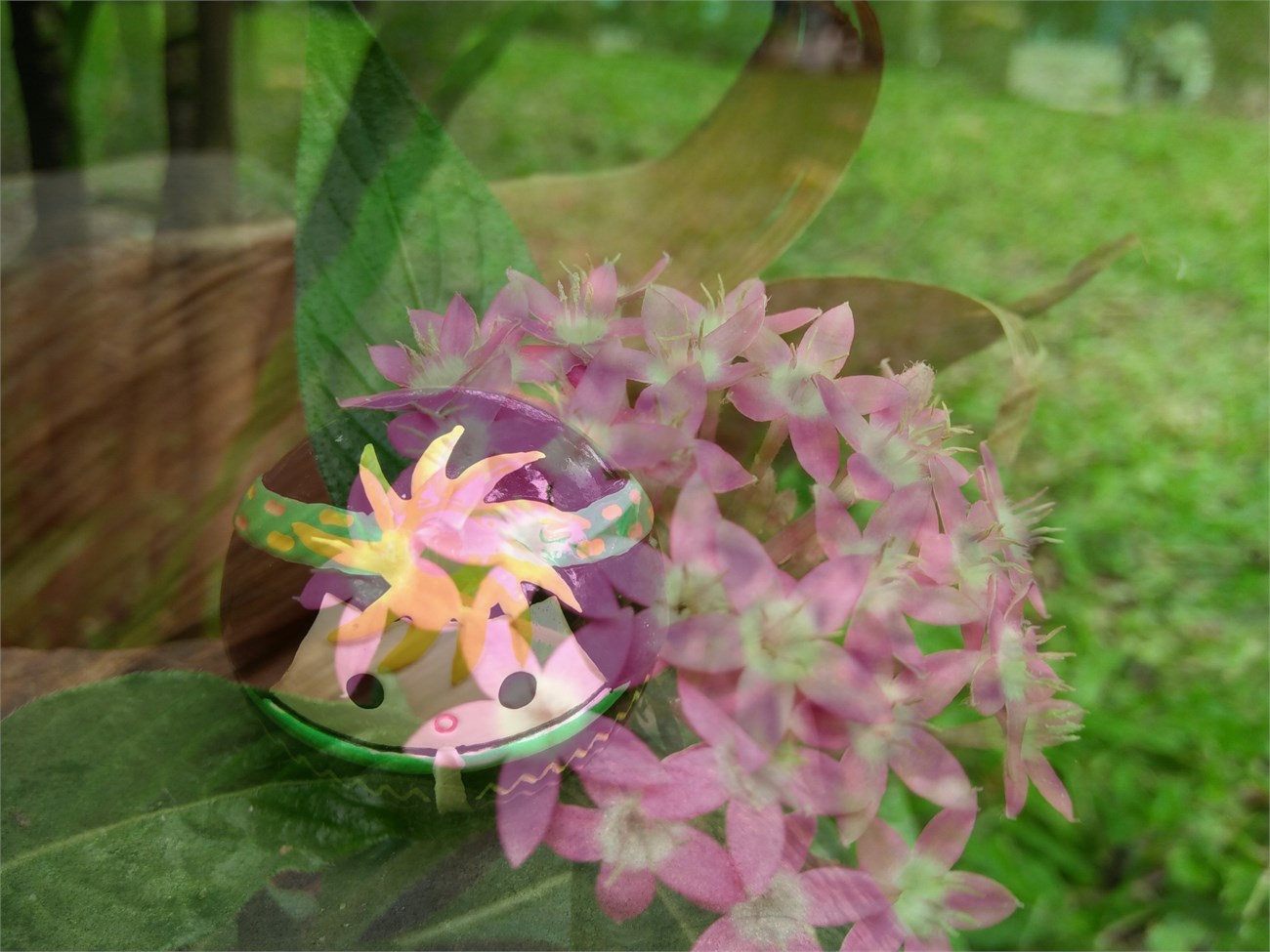 anhphoisangkep1 anhphoisangkep1