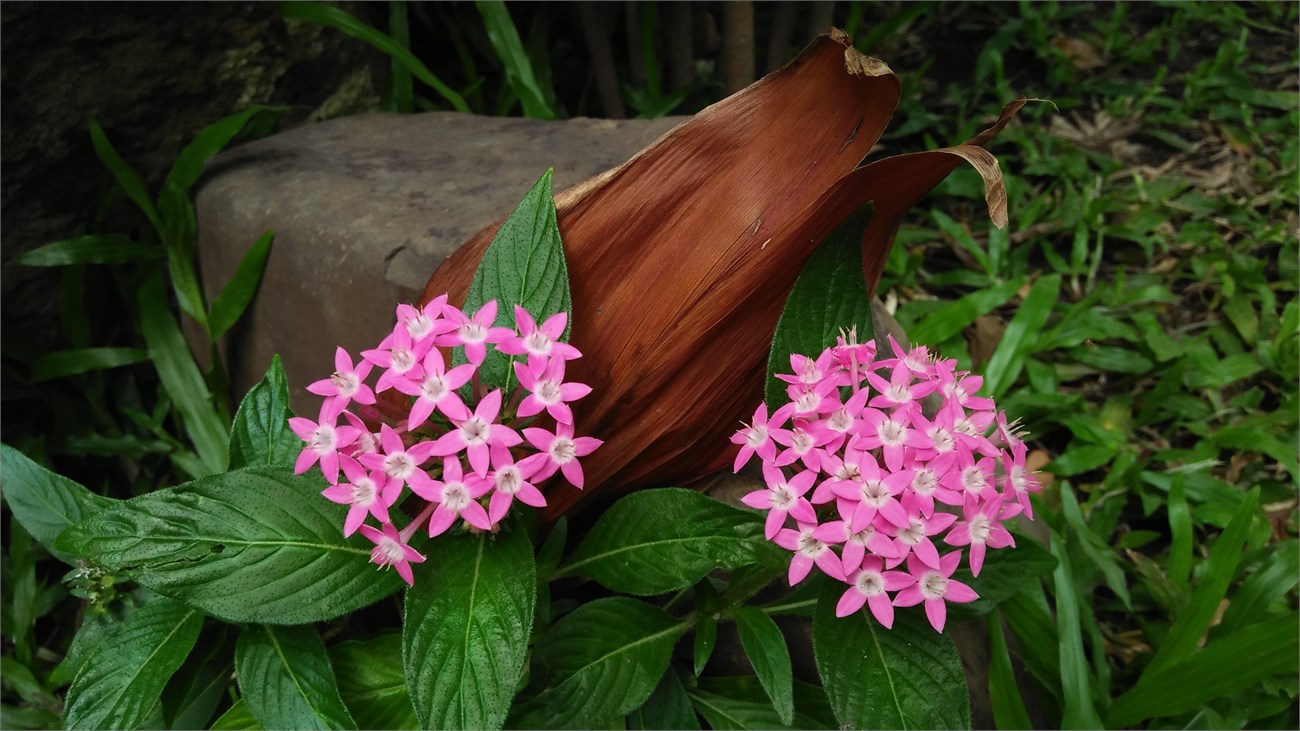 img20150716091531 img20150716091531