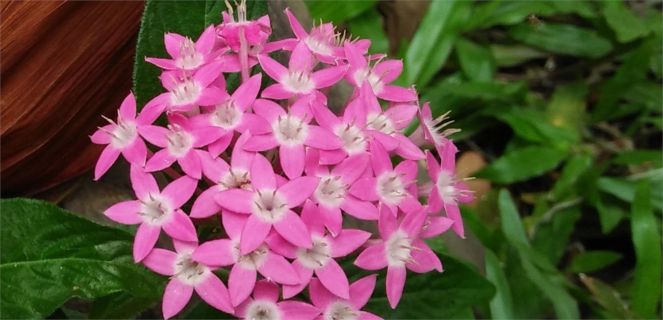 img20150716091531_2 img20150716091531_2