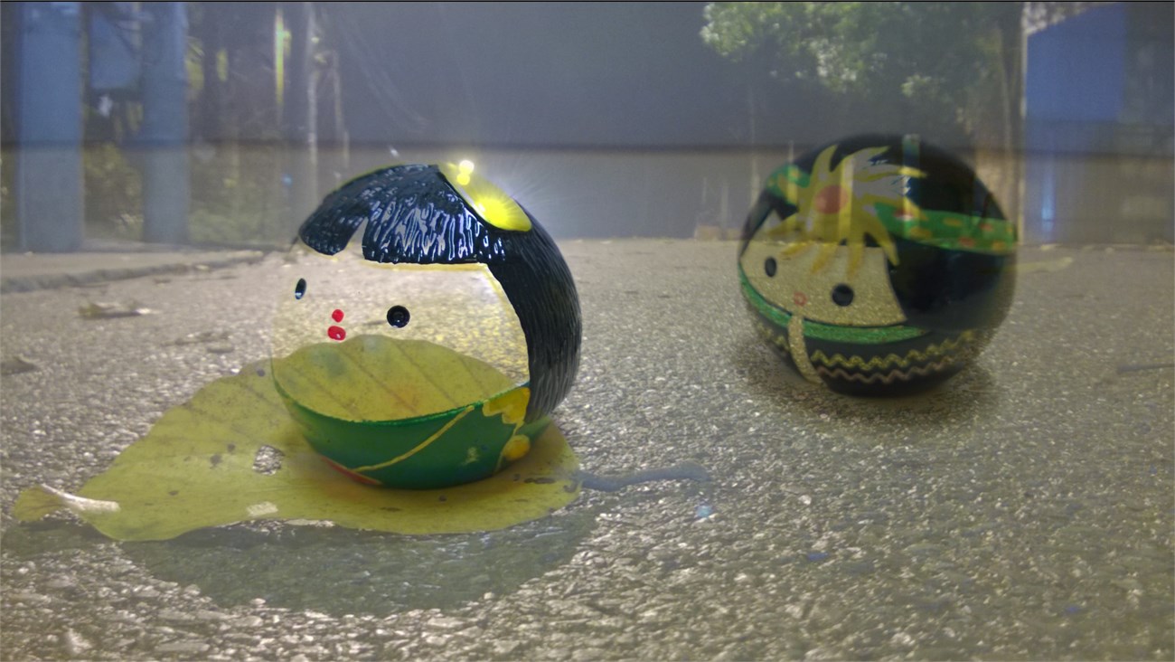 phơi sáng kép cho smartphone 9