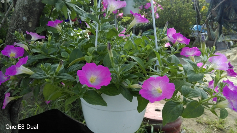 Ảnh Camera HTC One E8 Dual