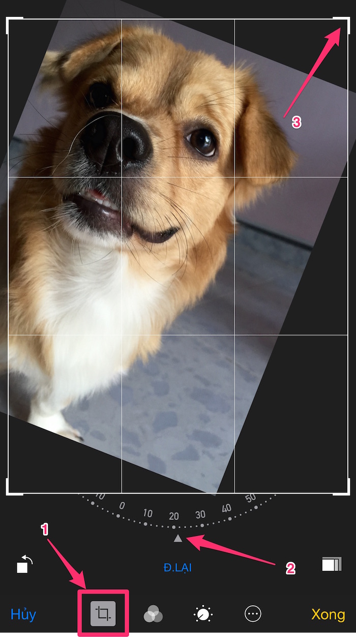 Những tính năng lợi hại của ứng dụng Ảnh (Photo) trên iOS 8 bạn có biết?