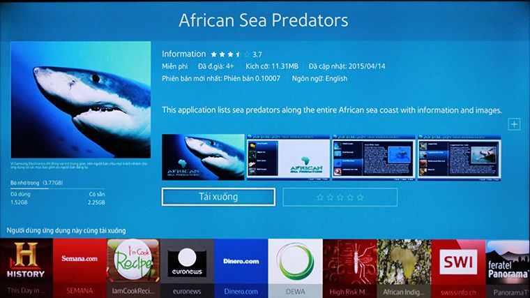 Khám phá thế giới động vật đại dương ở châu Phi với African Sea predators