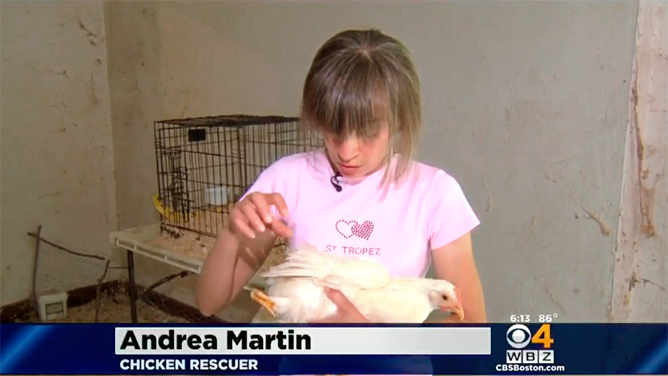 in chân gà 3D 2.500 USD