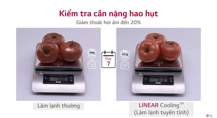 Giảm thoát hơi ẩm lên đến 20%