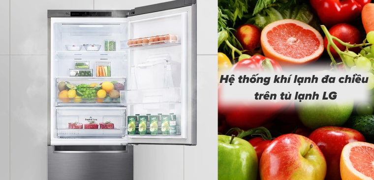 Hệ thống khí lạnh đa chiều trên tủ lạnh LG