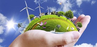 Cách bật chế độ tiết kiệm năng lượng trên Smart tivi LG hệ điều hành WebOS