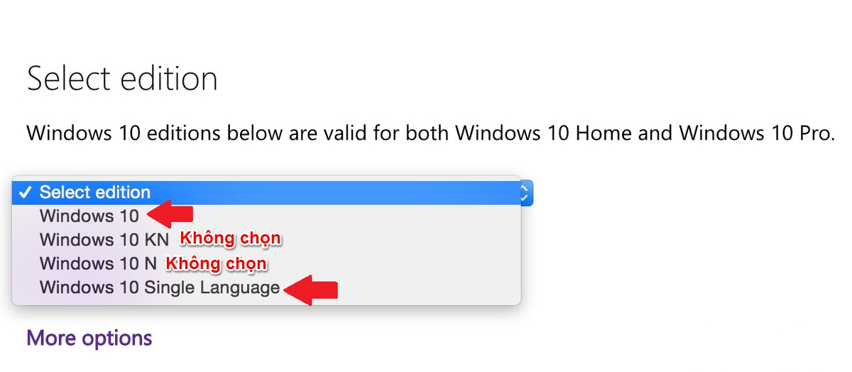 Chỉ nên tải bản Windows 10 Home, Windows 10 Single Language và Windows 10 Pro