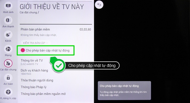 Cách kiểm tra thông tin tivi trên Smart tivi LG hệ điều hành WebOS > Nhấn chọn Cho phép bản cập nhật tự động để tivi có thể cập nhật phần mềm tự động