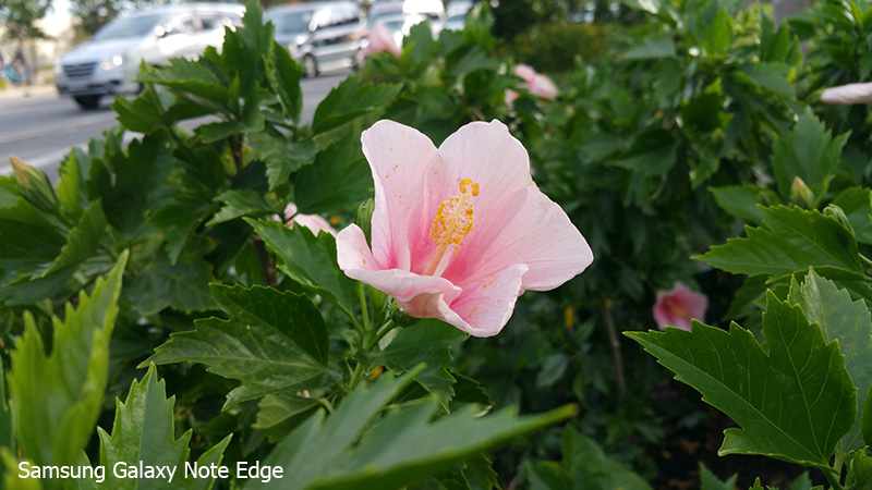 ảnh camera note edge