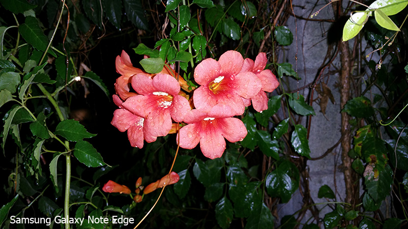 ảnh camera note edge