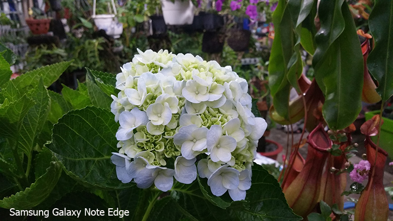 ảnh camera note edge