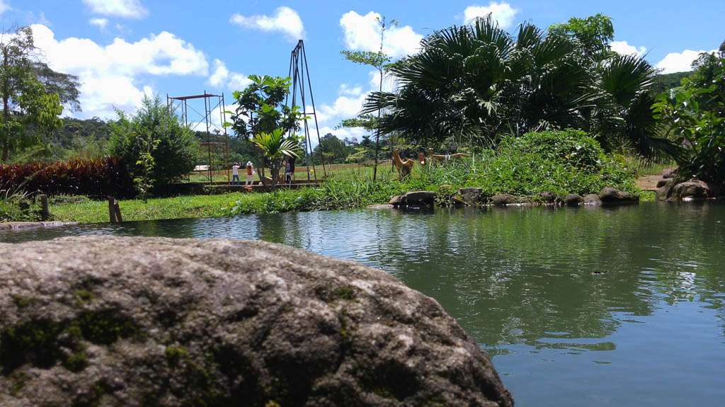 Camera LG G4 Stylus Camera LG G4 Stylus