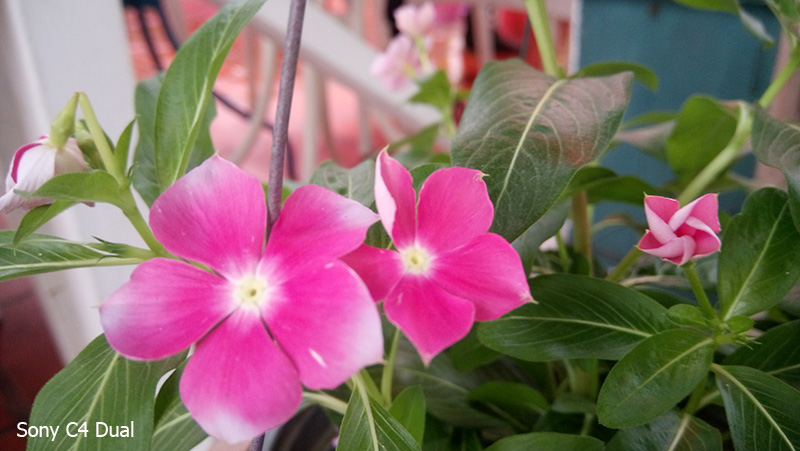 Camera C4 Dual Camera C4 Dual