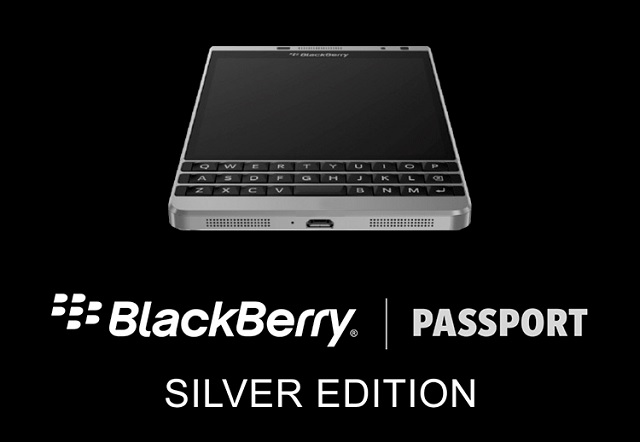 passport-silver passport-silver