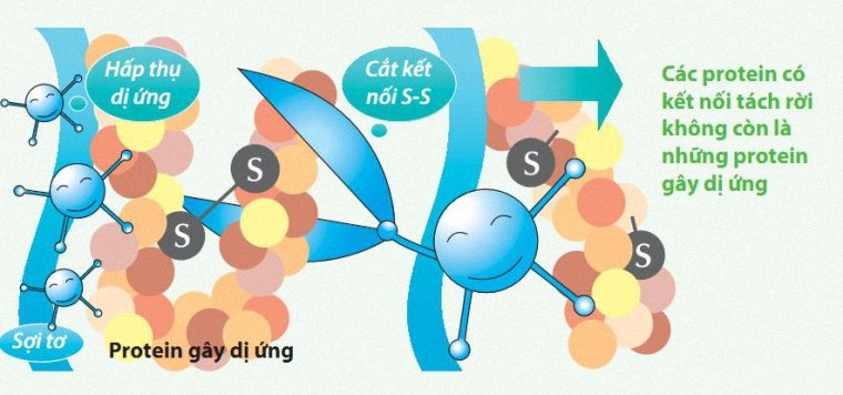 Màng lọc Enzyme thông minh