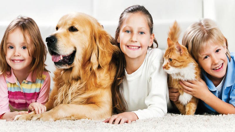 Ứng dụng miễn phí giúp tìm lại thú cưng thất lạc