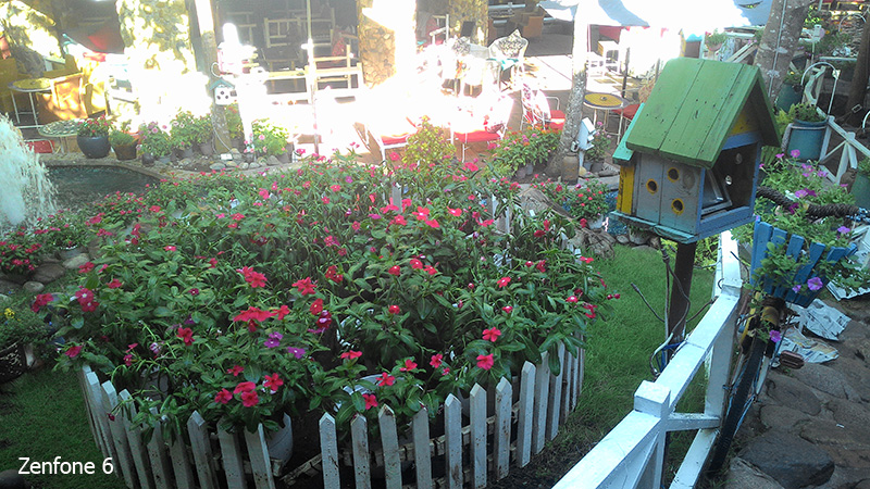Hình ảnh từ camera Zenphone 6