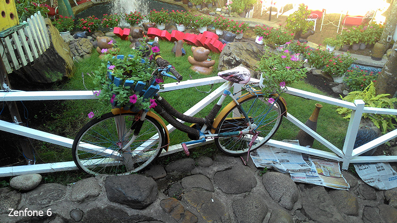 Hình ảnh từ camera Zenphone 6