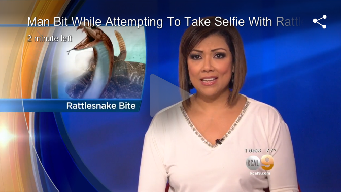 'Người đàn ông của năm' thích chụp ảnh selfie với rắn độc và cái kết... đáng đời!