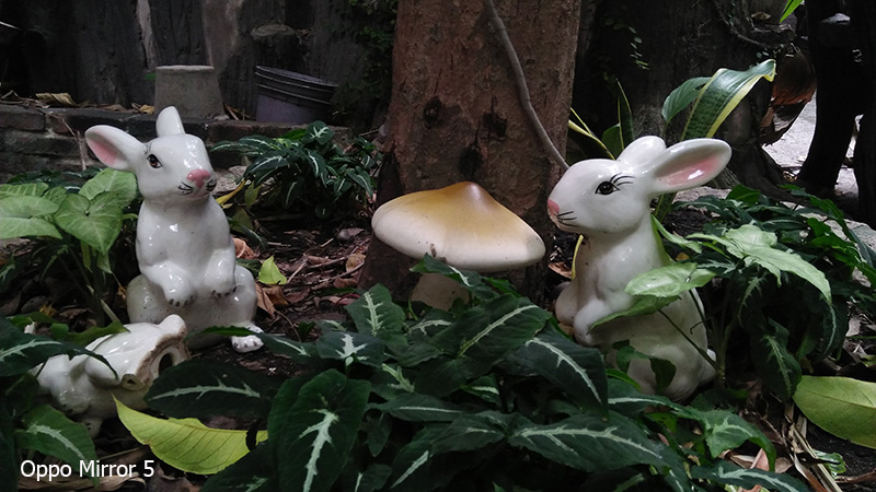 Ảnh Camera Oppo Mirror 5 Ảnh Camera Oppo Mirror 5