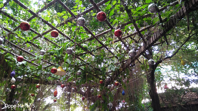 Ảnh Camera Oppo Mirror 5 Ảnh Camera Oppo Mirror 5