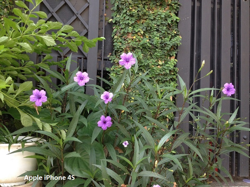 Ảnh chụp từ iPhone 4S