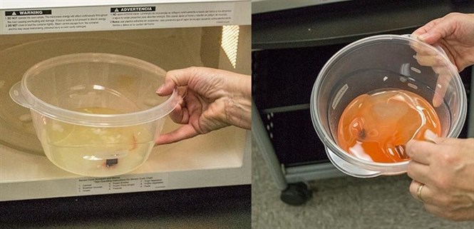 Có nên bỏ đồ nhựa vào lò vi sóng?