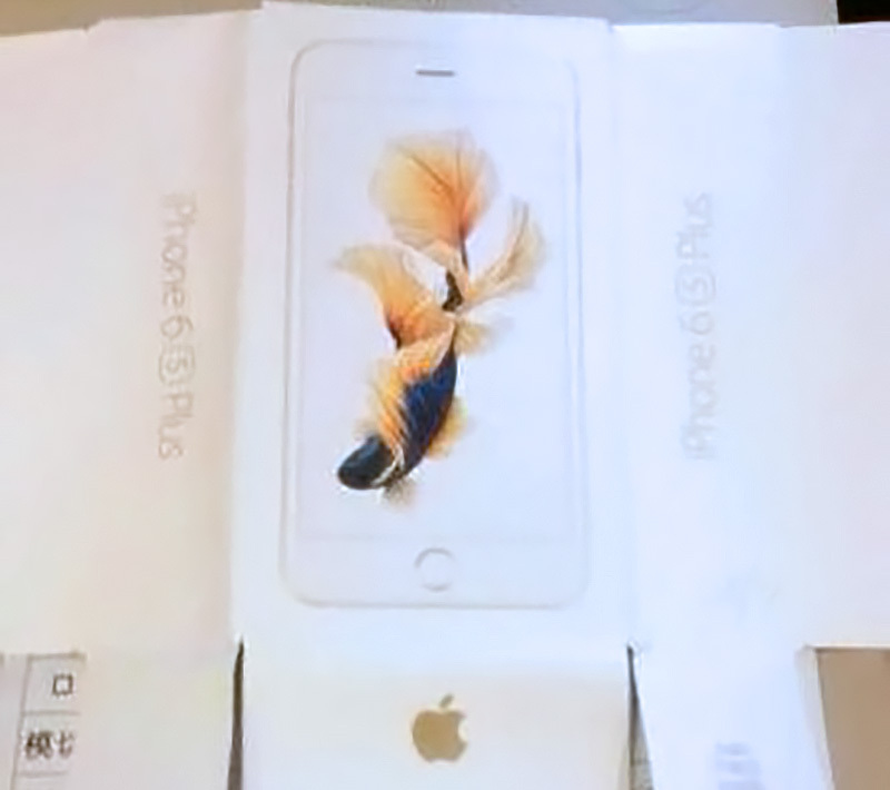 Vỏ hộp iPhone 6s Plus và 6s 2 Vỏ hộp iPhone 6s Plus và 6s 2