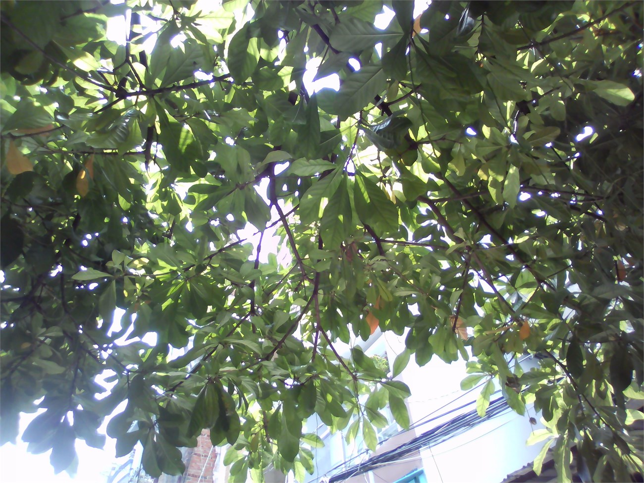 camera mobell nova f2 camera mobell nova f2