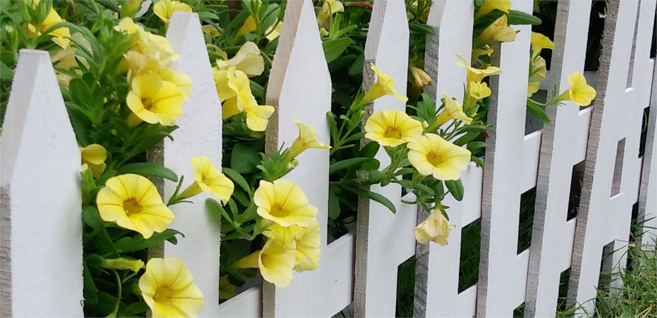 2015-09-16_9-51-16crop100