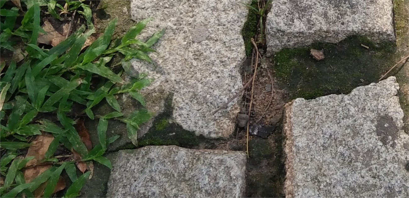 2015-09-17_22-44-26_crop100