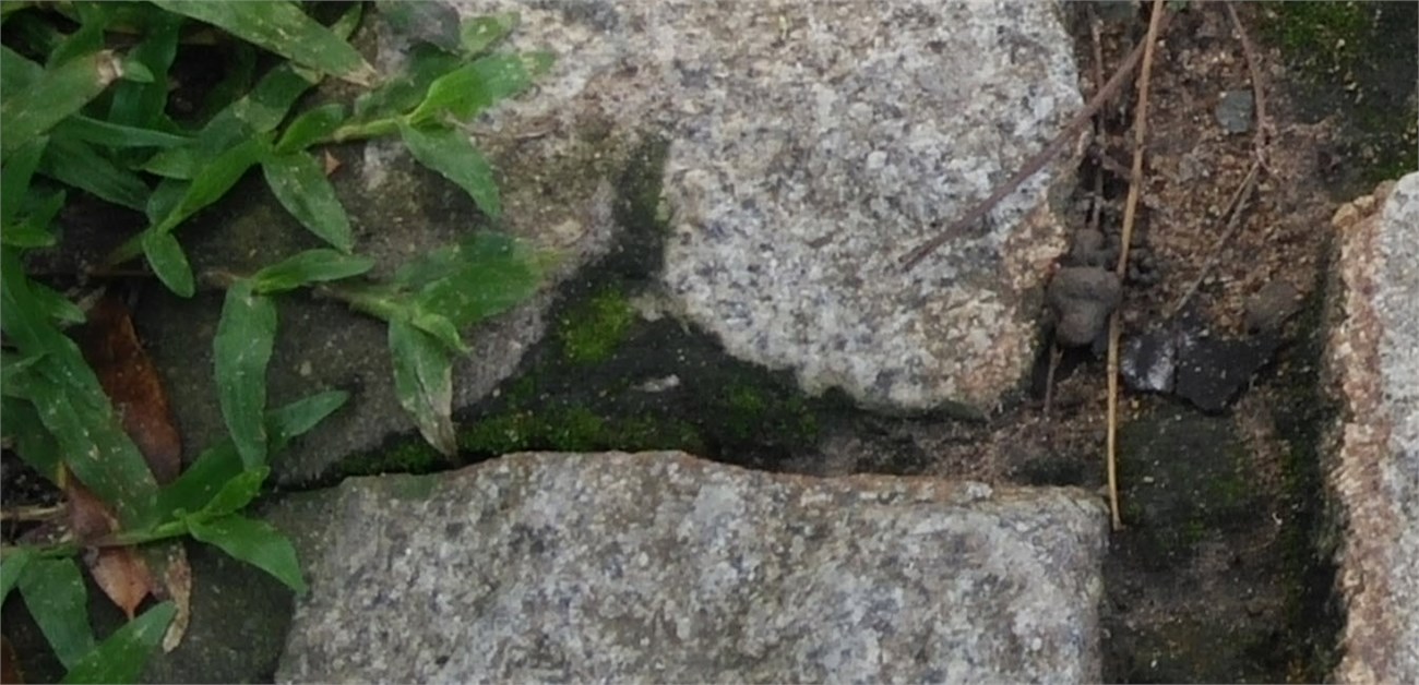 2015-09-17_22-44-58_crop100