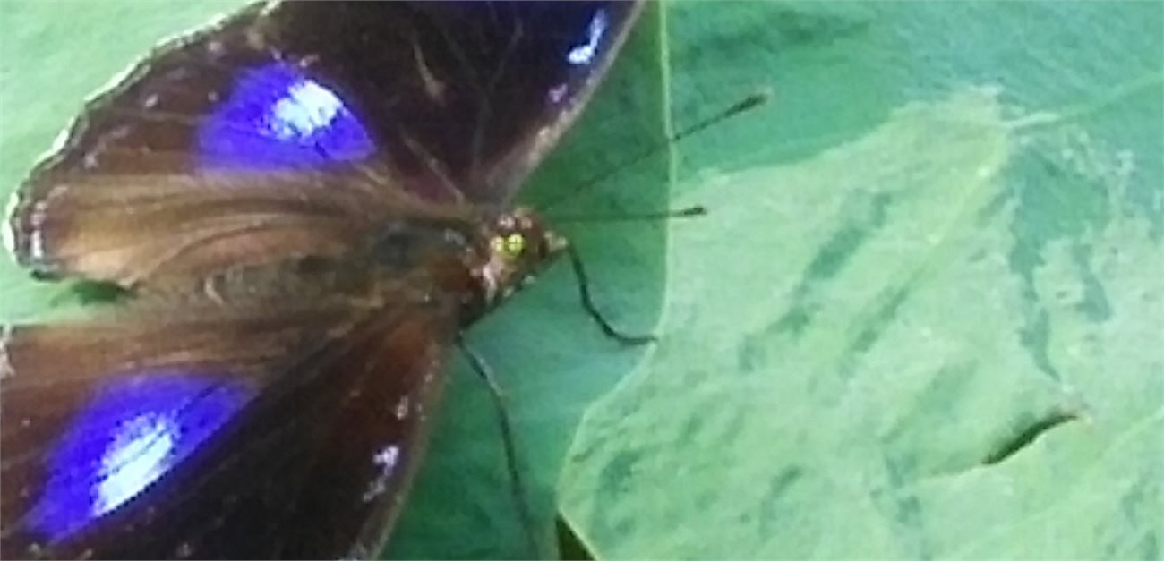 2015-09-20_20-53-50_crop100