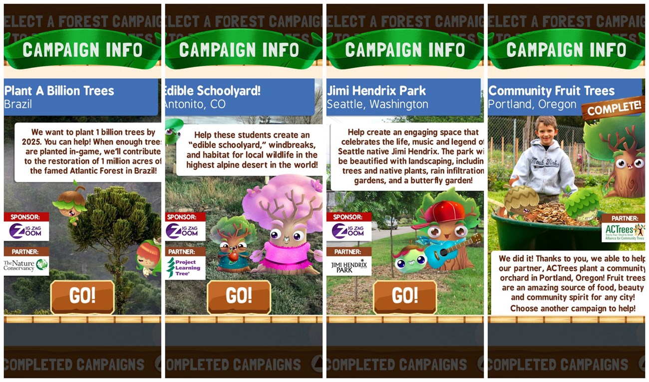 Review Tree Story 13