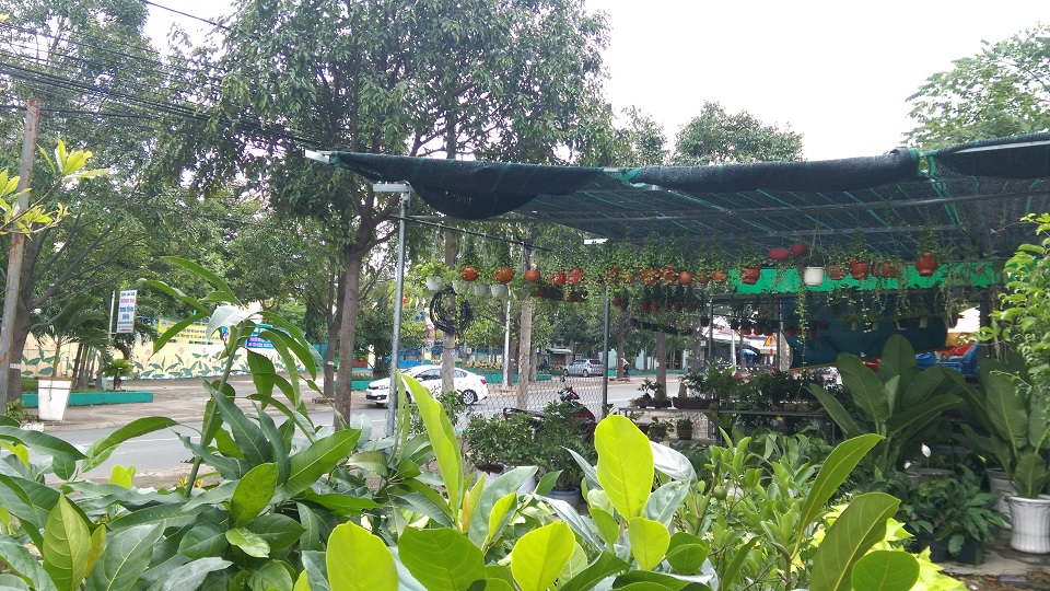 Hình ảnh chụp từ HTC Butterfly 2 