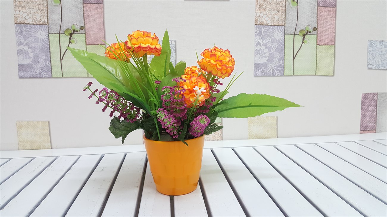 camera-note-5 camera-note-5